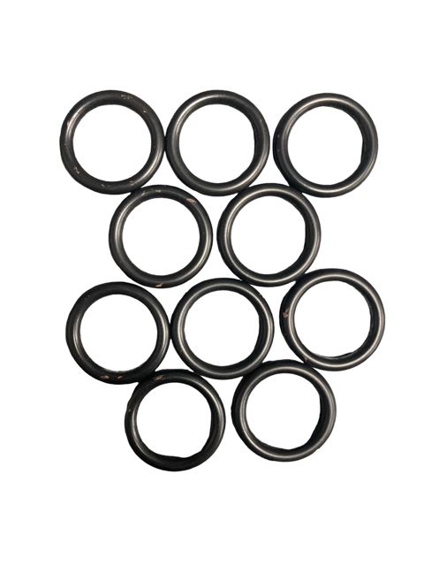 O-ring (x10)